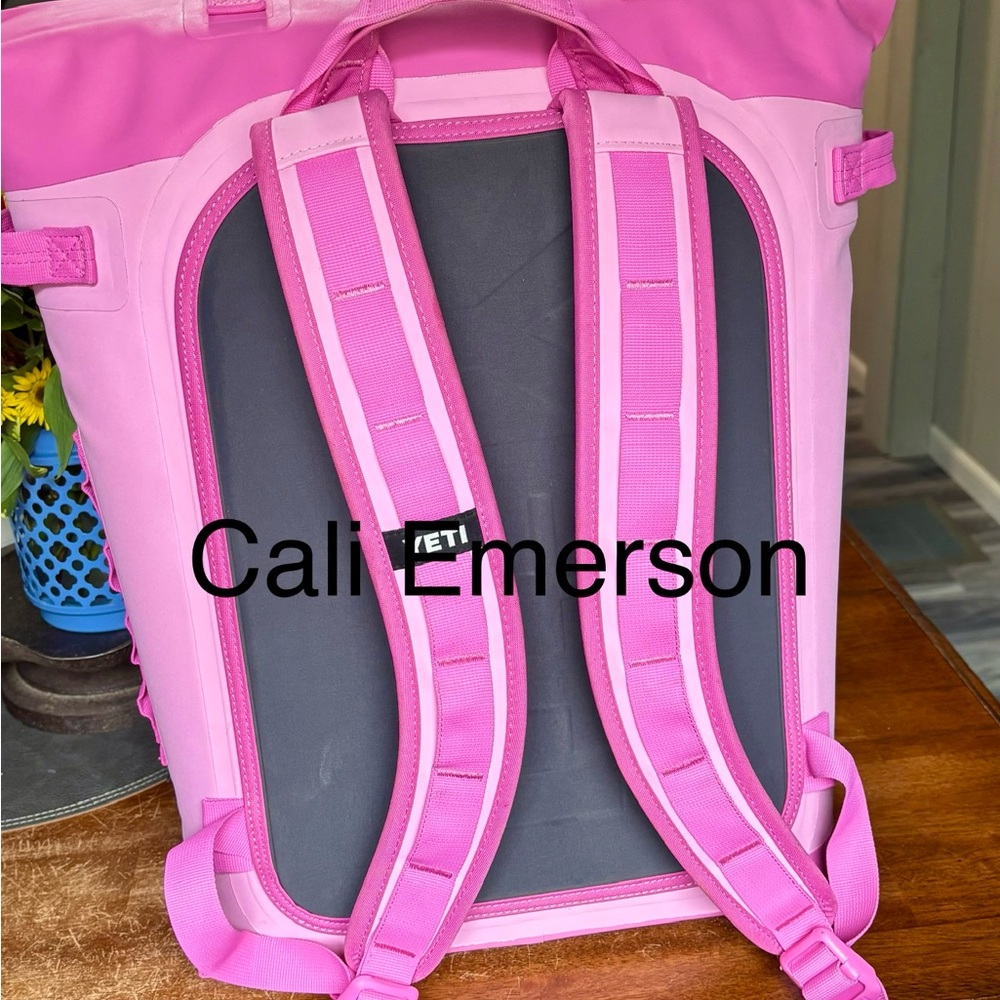 Power PINK YETI Backpack - Picture 3 of 4